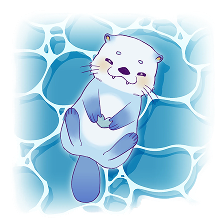 Sea Otter - Kori